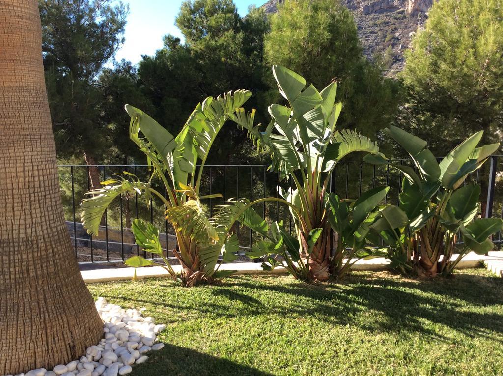 Olivos Holiday Home Altea Værelse billede